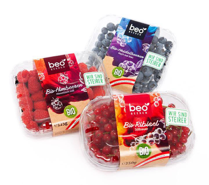 Beo Beeren Übersicht